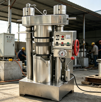 Presse à huile d'arachide en acier inoxydable, vente en gros d'usine