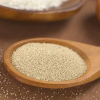 Levure en poudre active instantanée pour pâte à pain, personnalisable OEM, pour boulangerie, faible et forte teneur en sucre, super tolérante au sucre, HACCP