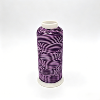 Fil à broder en polyester 100% mercerisé violet dégradé 150D/2 haute ténacité écologique durable pour le tricot à la main