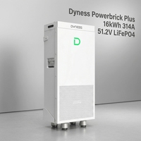 Batterie au lithium IP65 Dyness Powerbrick PLUS LV 51.2V 314AH 16kWh en stock UE pour système domestique (type Powerwall)