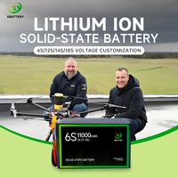 Производитель твердотельный 4S 6S 11000mAh 10C 271wh/кг Дрон/БПЛА аккумуляторная батарея для промышленного и стационарного ветра VTOL Multirotor
