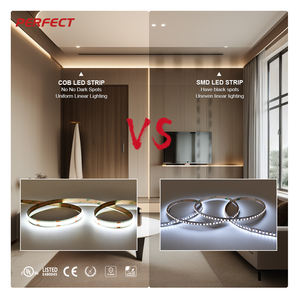 Tira de LED COB Dual Blanca de Alta Rentabilidad y Gran Venta en Europa y EE. UU. - 608 LED/M >90LM/W Cortable 5/8/10mm DC12V/24V Alto CRI ≥90 - Product Image 3