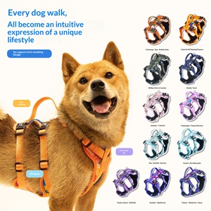 <span class=keywords><strong>Harness</strong></span> Anjing OEM Pabrik, Rompi Anjing Bahan Nylon 6-segmen, Dapat Disesuaikan, Anti Selip, Tanpa Tarikan, <span class=keywords><strong>Harness</strong></span> Anjing Terbaik Harga Pabrik Versi Terbaru - Product Image 1