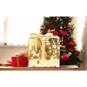 Jaywayang 10" <b>Large</b> Christmas Gift <b>Box</b> with Lid and Ribbon, Gold Gift <b>Box</b> with Paper Filler for Holiday Xmas Presents Wrapping. - Product Image 6