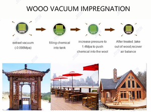 Máquina de tratamiento de <span class=keywords><strong>madera</strong></span> a presión al vacío Cca/Acq, tratamiento antiséptico autoclave de impregnación de <span class=keywords><strong>madera</strong></span> al vacío - Product Image 6