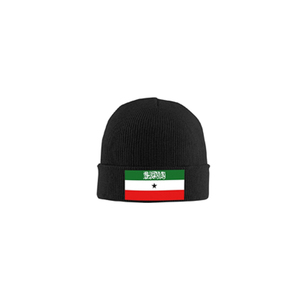OEM Factory Direct <strong>Selling</strong> Red White Green Color Innovative Product Gift Promotional Large Outdoor Somaliland <strong>Flag</strong> - Product Image 2