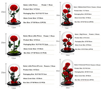 Vente en gros de roses conservées pour toujours avec tige roses conservées fleur éternelle de grande taille pour cadeaux de saint valentin