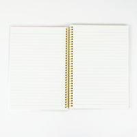 Carnet de notes personnalisé A5 avec reliure spirale, couverture en PP imprimée, pour fournitures scolaires, planificateur personnalisé pour étudiants