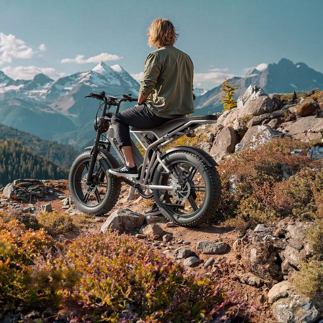 Eu Warehouse Electric Hybrid Bike Electric Dirt Bike 20 Inch 48V Fat Tire Mountain Bike Electric Bicycles