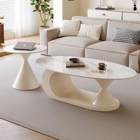 Table basse ovale de luxe moderne en pierre frittée pour petit appartement, salon, avec rangement et design durable