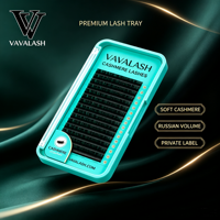 Cils individuels en vison VAVALASH, directement de l'usine, OEM ODM, logo personnalisé, conteneur complet, vente en gros pour distributeurs de cils et fournisseurs de produits de beauté