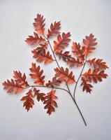 EG-J284 NOUVELLE SÉRIE Décoration de Noël en gros Branches artificielles de feuilles de chêne vertes pour la maison