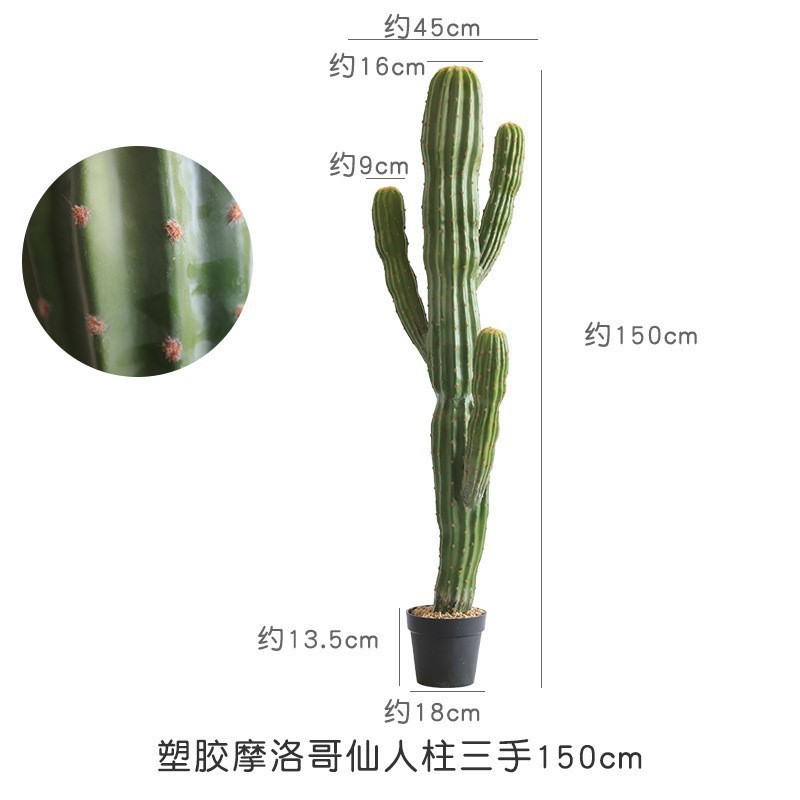 Cactus mexicain à branches multiples - 150CM
