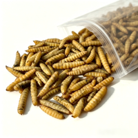 Larves de Mouches Soldat Noires Séchées Riches en Calcium – Protéine d'Insectes pour Volailles, Tilapias, Crevettes, Aquaculture, Reptiles et Suppléments pour Animaux de Compagnie – Vente en Gros
