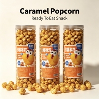 Popcorn Factory - Vente en gros de collations saines à base de céréales exotiques. Sans gluten. 286 grammes saveur caramel. Sans graisses trans. Texture semi-douce.