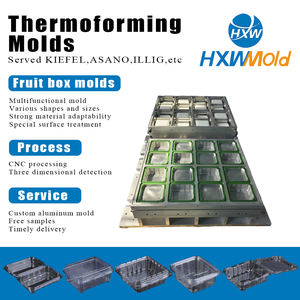 Fabricant de moules à blister professionnel personnalisé privé moule à fruits de thermoformage multi-stations - Product Image 2