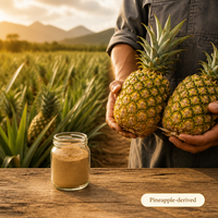 Natural Bromelain Enzyme Powder Pineapple Extract Bromelain Enzyme 50000 Price 2500 Gdu/g