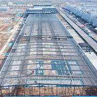 Edificio de Almacenamiento de Acero Prefabricado, Gran Espacio, Logística, Almacenamiento, Resistente al Fuego, Proveedor Profesional de Estructuras de Acero