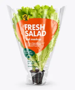 印刷便宜的新鲜蔬菜包装塑料袋沙拉塑料袋