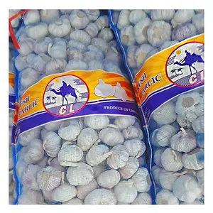 <span class=keywords><strong>Ajo</strong></span> Fresco Blanco Puro Chino Premium, Saludable para Uso Culinario, Empaquetado en Bolsa de Malla, Listo para el Mercado - Product Image 6