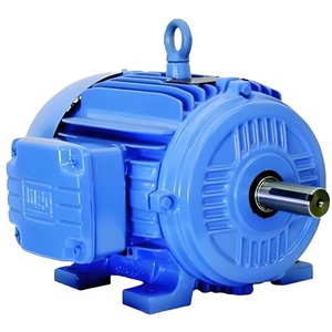 มอเตอร์ Weg 160 กิโลวัตต์ 185 กิโลวัตต์ 220 แรงม้า 250 แรงม้า 380 โวลต์/460 โวลต์ มอเตอร์เหนี่ยวนำ 3 เฟส IP55 สำหรับอุตสาหกรรม เหมืองแร่ และงานบด - Product Image 5