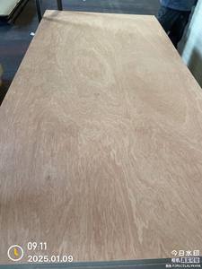 <span class=keywords><strong>Contreplaqué</strong></span> commercial bon marché <span class=keywords><strong>de</strong></span> Offre Spéciale <span class=keywords><strong>de</strong></span> temps limité 18Mm Bintangor - Product Image 4