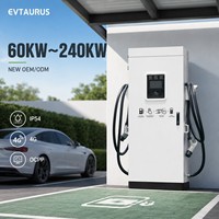 Fournisseur de bornes de recharge rapides DC tout-en-un 120 kW, 160 kW, 180 kW, 240 kW, double port, avec 4G, Wifi et OCPP