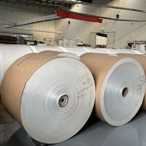 ม้วนกระดาษเคลือบดินเหนียว PE สำหรับทำถ้วยกระดาษเคลือบเงา - Product Image 3