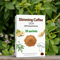Disponible en usine, brûleur de graisse 100% naturel, champignon premium, garcinia, ginseng, vitamines B, poudre de café minceur