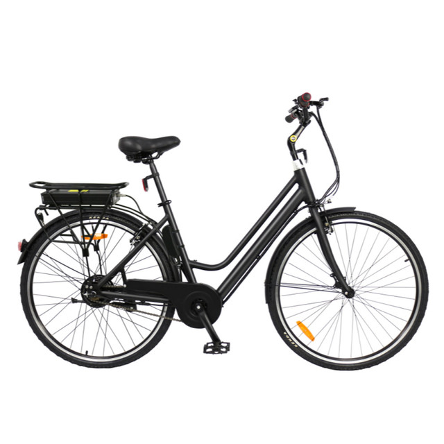 36V 250W Brushless Aluminum Alloy Electric Bicycle with Lithium Battery EN 15194 Certified Urban Travel Bike