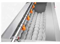 Machine de nettoyage et de pelage automatique commerciale pour légumes et fruits (pommes de terre, gingembre, lotus, papaye, patate douce)