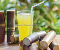Extracteur de jus industriel à froid pour calamansi, machine à jus d'orange, grande ouverture d'alimentation, presse-agrumes pour gingembre et carottes