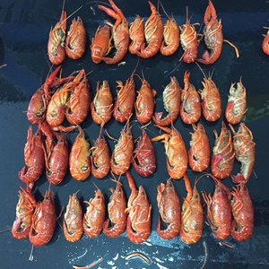กุ้งเครย์ฟิช/กุ้งแม่น้ำแช่แข็งทั้งตัว ฤดูกาลใหม่ - Product Image 3