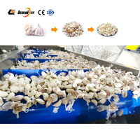 Trieur d'ail à haute productivité/éplucheur d'ail/pâte d'ail faisant la ligne de production d'épluchage d'ail de machine