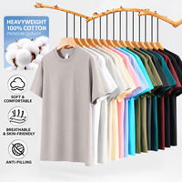 T-shirt en coton 100% lourd et ample, 260g, couleur unie, écologique, style streetwear décontracté, vente en gros