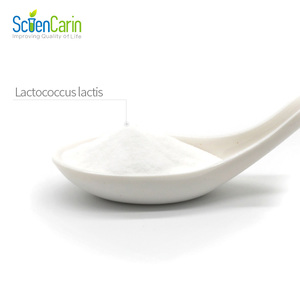 Sciencarin liefert gefriergetrocknete Probiotika <span class=keywords><strong>Lactococcus</strong></span> <span class=keywords><strong>Lactis</strong></span> in Lebensmittelqualität, ISO/HALAL/GMP-zertifiziert, 1,0x10(10)~10(11) KBE/g, 24 Monate haltbar. - Product Image 2
