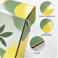 Boîte d'expédition pliable en carton ondulé E-Flute personnalisée avec doublure en mousse pour kits d'abonnement e-commerce