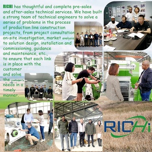 RICHI Civciv Yemi Pelet Yapma Makinesi CE Sertifikalı 1-2t/s Küçük Civcivler Tavuk Yemi Pelet Üretim Hattı - Product Image 5