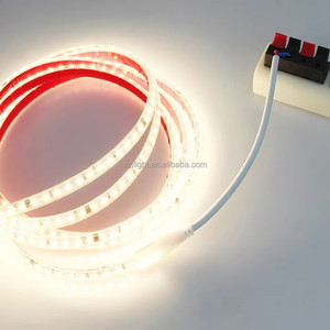 Bande lumineuse LED haute tension sans pilote 100V110V120V220V230V240V, étanche, 120 LED/m, 100m - Product Image 4