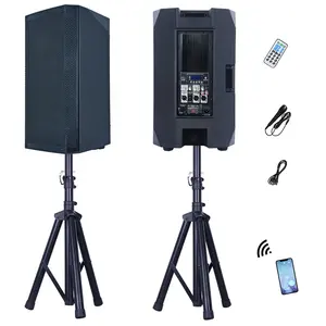 Subwoofer de audio profesional para interiores, sistema de altavoces de 5000W y 15 pulgadas, caja de sonido para DJ, sistema de líneas de matriz para fiestas, Bocina