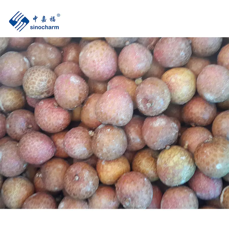 Sinocharma BRC 승인 도매 가격 냉동 과일 공장 대량 10kg 껍질을 벗기지 않은 열매 IQF 중국에서 온 전체 이치