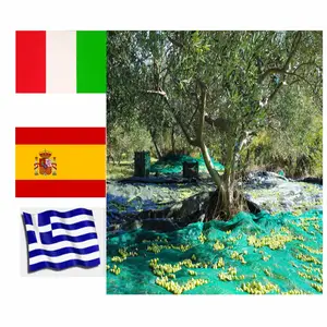 Europe Grèce Spaincustom en stock Longue durée de vie aggraver diverses couleurs rouge de olivo filet de récolte des olives pour collecter les olives