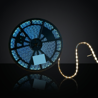 Guirlandes lumineuses pour lettres en plastique découpables 12V DC IP67 étanches, à LED adressables WS2812B RGBIC, design en zigzag, CRI élevé 90, 6000K-11000K