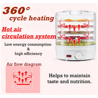 28Cm 5 Trays Elektrische Thuisgebruik Fruit Groenten Mini Food Dehydrator