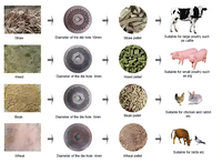 Machine à fabriquer des granulés d'aliments pour animaux, pour l'élevage et l'usage domestique, machine de fabrication de granulés d'aliments pour volailles, équipement de traitement des aliments pour animaux