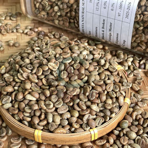 Granos de café verde Robusta de Vietnam tamaño 16 A Plus 95-99% pureza 60kg bolsas a granel calidad superior para tostar y exportar - Product Image 1