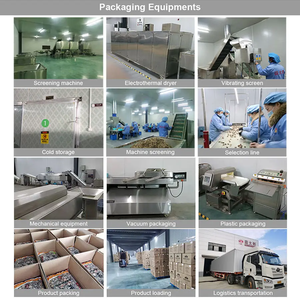 100% טבעי לא הוסיף מיובש פטריות תמצית אבקת שימורים שיטאקי מפעל ישיר מכירה מיובש שיטאקי פטריות אבקה - Product Image 6