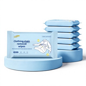 Customized Clothing Stain-Removal Wipes For Jacket Cleaner No-Rinse Cleaning Individually Wrapped Powerful Wet Tissues 10-Piece
