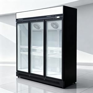 Compresseur Inverter à Refroidissement par Air avec Affichage Numérique pour Vitrines Congélateurs Verticaux Utilisées dans la Fabrication de Glaçons - Product Image 4