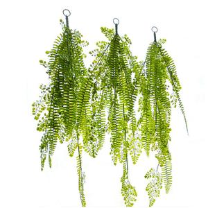 <span class=keywords><strong>Piante</strong></span> Artificiali Piccole, <span class=keywords><strong>Piante</strong></span> Secche Emozionanti, Fornitori all'Ingrosso, <span class=keywords><strong>Piante</strong></span> Artificiali Carine, <span class=keywords><strong>Piante</strong></span> Grasse, Regalo, Decorazione Murale in Rattan - Product Image 6